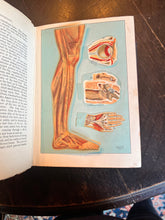 Load image into Gallery viewer, Antique medical book domestic medical practice book ￼ - Vintage AnthropologyVintage Anthropology