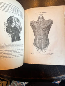 Antique medical book domestic medical practice book ￼ - Vintage AnthropologyVintage Anthropology