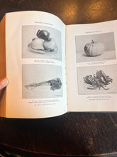 Load image into Gallery viewer, Antique medical book domestic medical practice book ￼ - Vintage AnthropologyVintage Anthropology