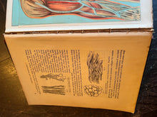 Load image into Gallery viewer, Antique medical book domestic medical practice book ￼ - Vintage AnthropologyVintage Anthropology