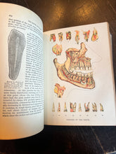 Load image into Gallery viewer, Antique medical book domestic medical practice book ￼ - Vintage AnthropologyVintage Anthropology