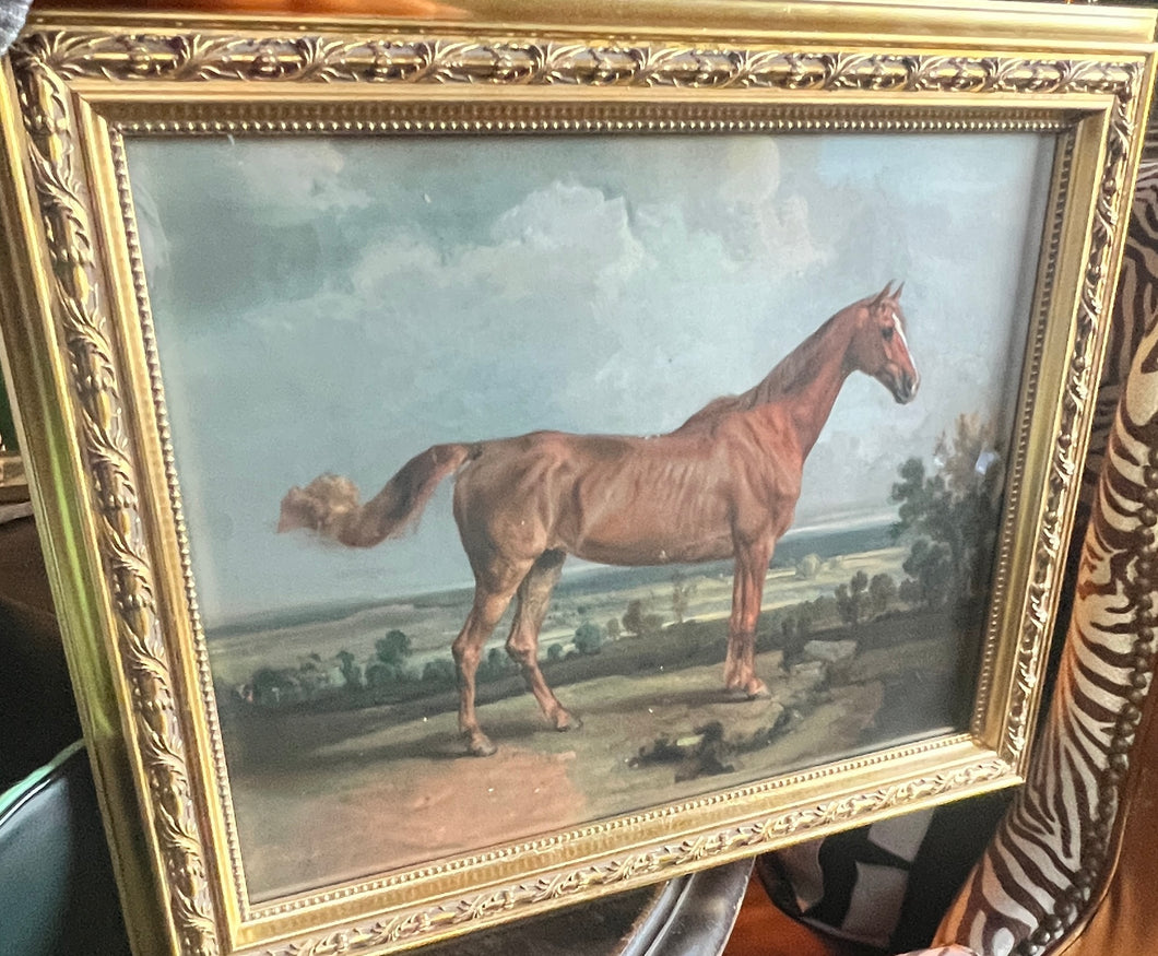 Gold Framed Horse Equestrian Picture - Vintage AnthropologyVintage Anthropology