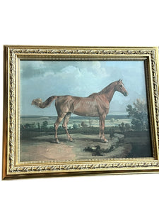 Gold Framed Horse Equestrian Picture - Vintage AnthropologyVintage Anthropology