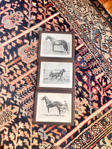 Lot of Three Antique Equestrian Horse Racing Prints ￼